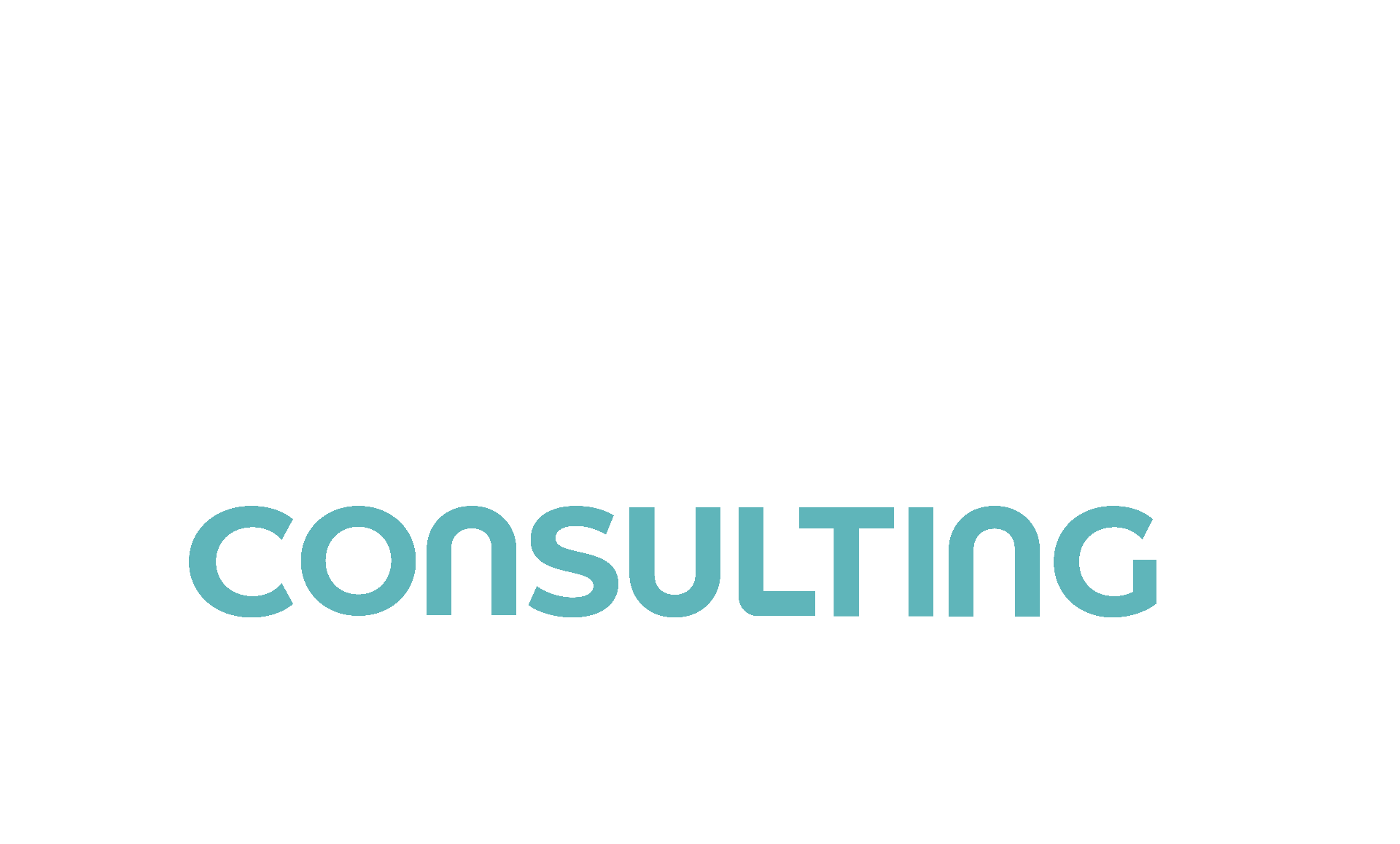 Unifly Consulting
